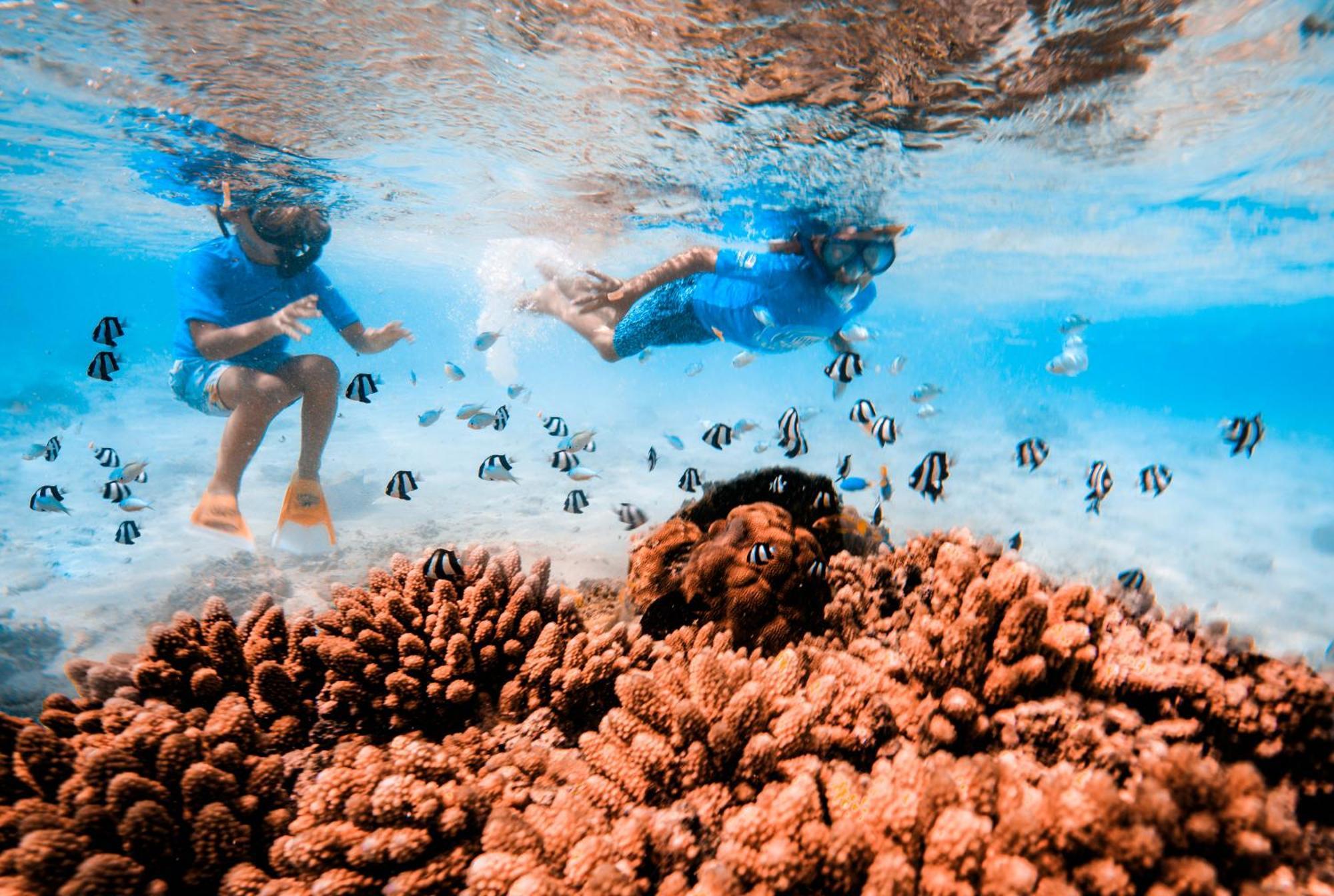 The Rarotongan Beach Resort & Lagoonarium Εξωτερικό φωτογραφία